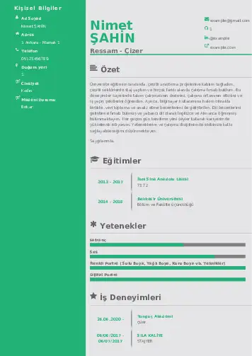 Ressam Cv Örnekleri cv indir